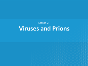 Viruses and Prions Lesson: Structure, Cycles, Diseases