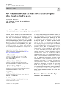 New evidence contradicts the rapid spread of invasive genes into a threatened native species