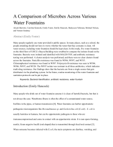 Microbial Analysis of Water Fountains