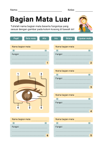 Bagian Mata Luar Lembar Kerja Pendidikan IPAS Hijau Kuning Kotak Ilustrasi