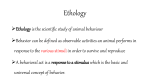 Animal behavior