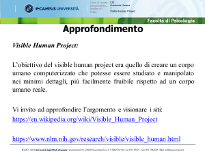 Visible Human Project: Anatomia Umana