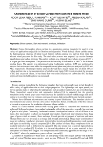 Characterisation of silicon carbide from dark red meranti wood