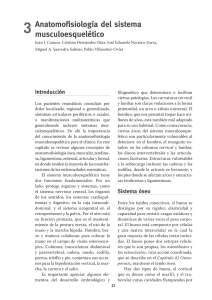 Anatomofisiología del Sistema Musculoesquelético