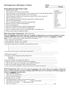 DNA Extraction, PCR, Electrophoresis Worksheet