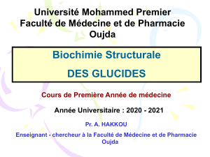 Cours de Biochimie Structurale : Les Glucides