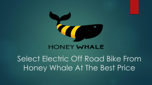 Select Electric Off Road Bike From Honey Whale At The Best Price