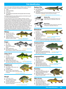 ontario fish species 2005