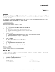 Human Tissues: Types, Functions, and Membranes