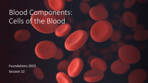 Blood-Components-Cells-of-the-Blood