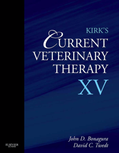 Kirk's Current Veterinary Therapy XV