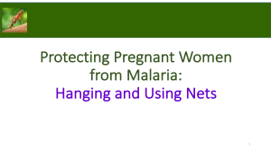 Malaria Prevention for Pregnant Women: Using Bed Nets