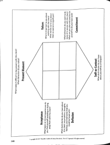 Client Case Supervision Conceptualization (1)