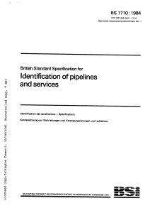 feismo.com-bs-1710-identification-of-pipelines-and-services-pr e9b694292fca2bc21735c80f68a0c379