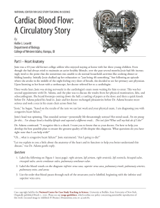 Cardiac Blood Flow Case Study