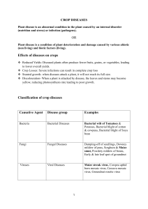 Crop Diseases & Control: Maize, Weeds, Farm Chemicals