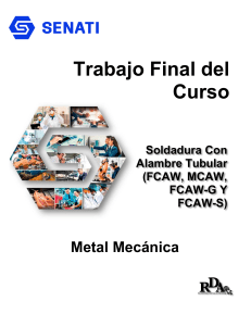 Soldadura FCAW/MCAW: Trabajo Final Metal Mecánica