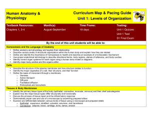 Anatomy Physiology Pacing Guide