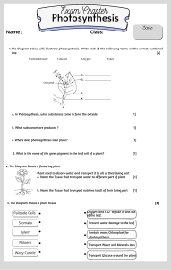 Exam chapter  Photosynthesis (3)