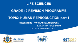 Human Reproduction Grade 12 Revision