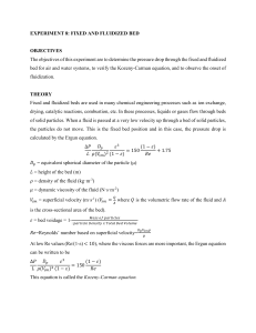 Fixed and Fluidized Bed Experiment Lab Manual