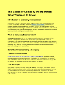 The Basics of Company Incorporation  What You Need to Know