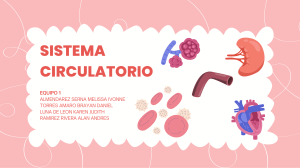 SISTEMA CIRCULATORIO