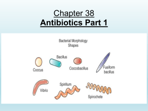 Antibiotics: Infections, Therapy, and Classes