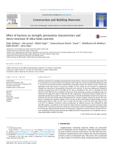 0D silica fume bacteria