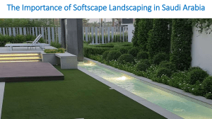 The Importance of Softscape Landscaping in Saudi Arabia