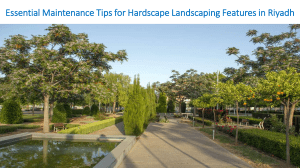 Essential Maintenance Tips for Hardscape Landscaping Features in Riyadh