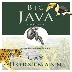 Big Java 4th Edition Textbook