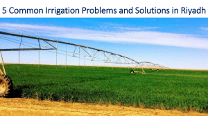 5 Common Irrigation Problems and Solutions in Riyadh