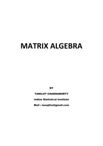 4 matrix algebra 1