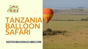 Tailored Tanzania Balloon Safari Packages for an Unforgettable Holiday