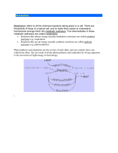 Metabolism & Cellular Respiration: Textbook Excerpt