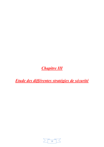 Chapitre III Etude des differentes strat