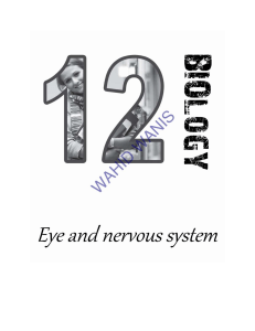 answer P4 eye and nervous (1)