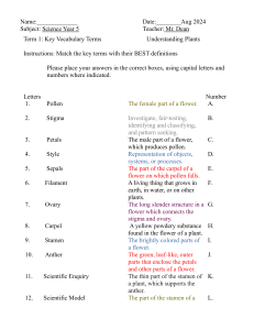 quiz 1 year 5 Aug 2024 c