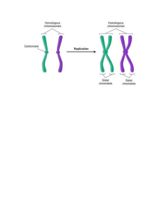 Meiosis Labster -NDM