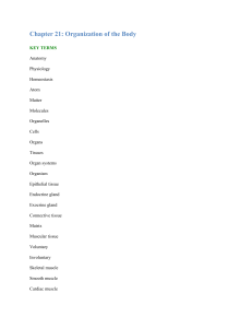 Chapter 21 Key Terms