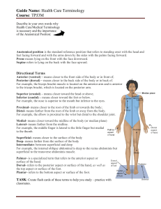 Health Care Terminiology