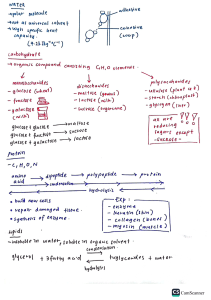 biology notes (yanapkb) (1)