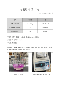 나일론 합성 사후 보고서 김명원