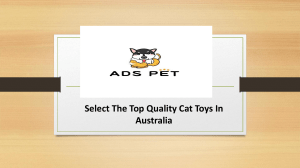 Select The Top Quality Cat Toys In Australia