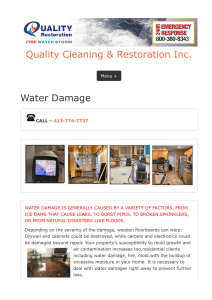 Water Damage Mitigation 