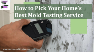 Home's Best Mold Testing Service Houston TX