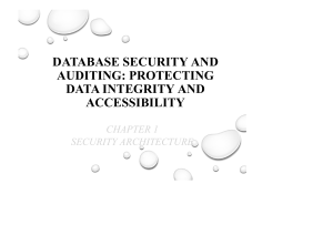 Database Security and Auditing Presentation