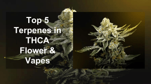 Top 5 Terpenes in THCA Flower & Vapes