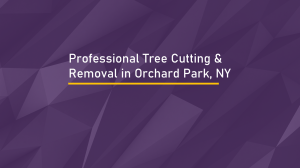 Professional Tree Cutting & Removal in Orchard Park, NY